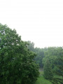 Balatonfűzfő
