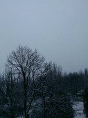 Balatonfűzfő