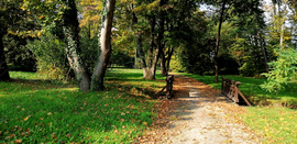 Devecser, Esterházy kastély park (részlet)