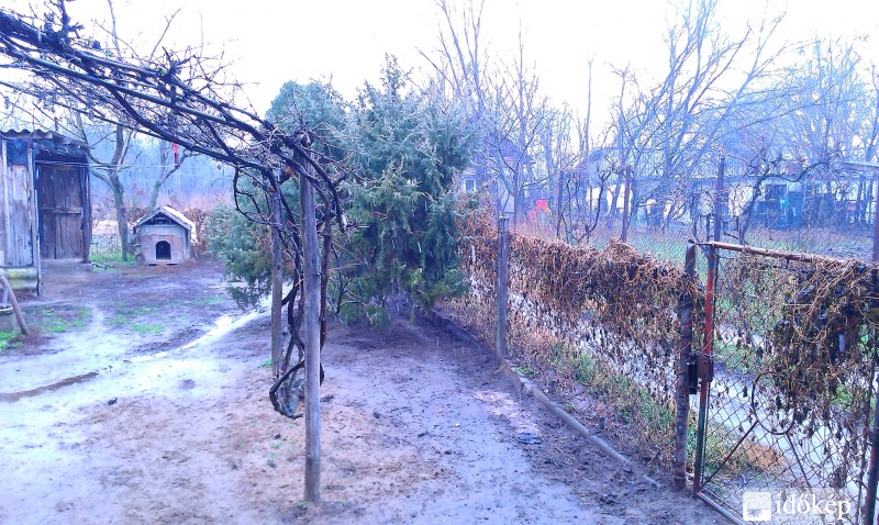 Nagykőrös