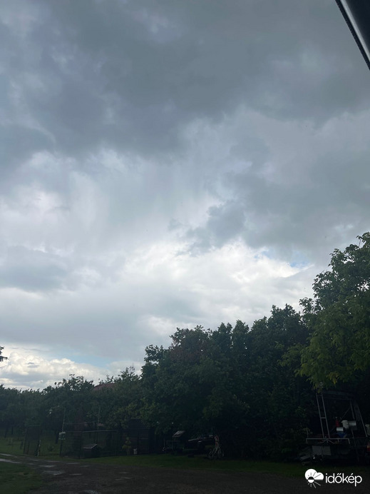 Szabadka