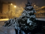 Szabadka