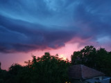 Gyula