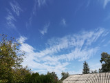 Gyula