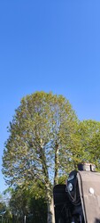 Dombóvár