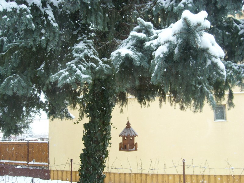 Nagymágocs