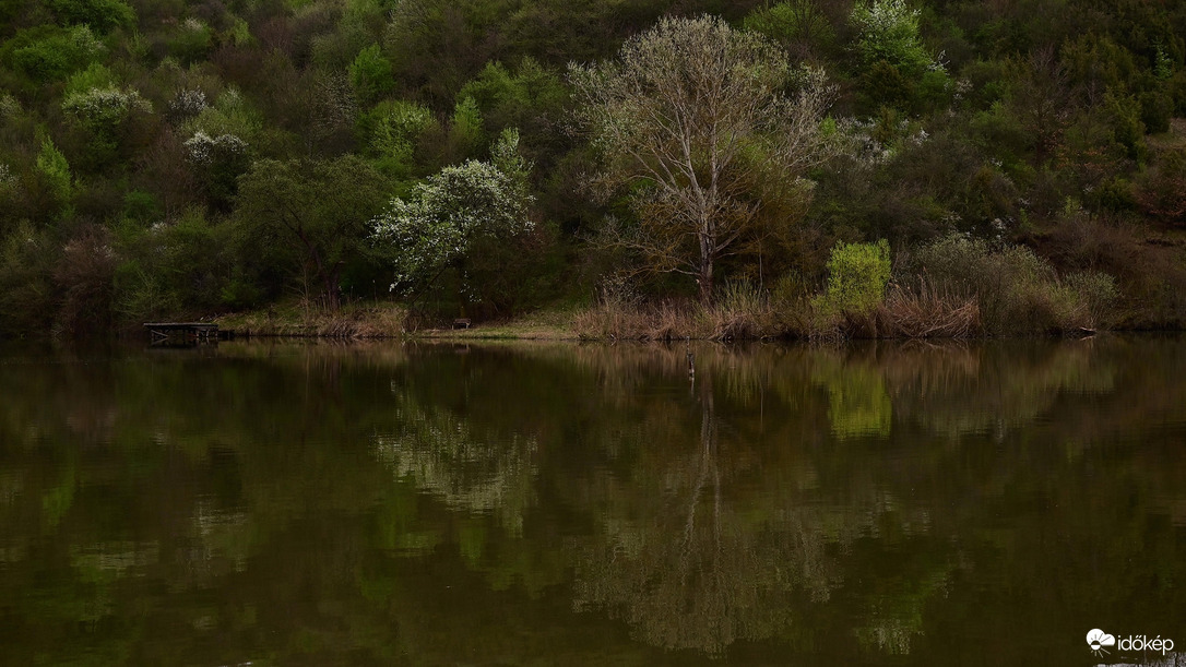 Tavaszi tükör.