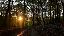A felkelő nap fényében.