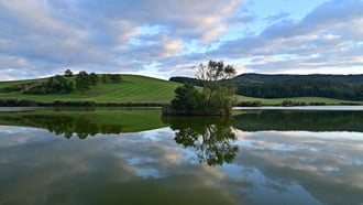 Tótükör 