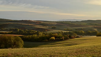 Őszi reggel. 