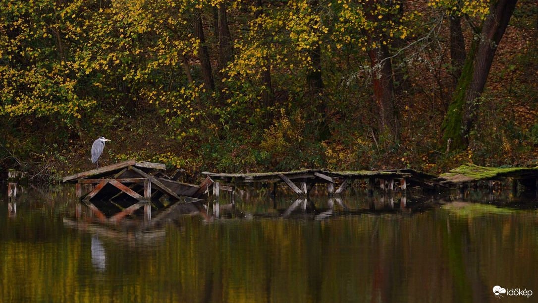 Ősz a tónál. 2