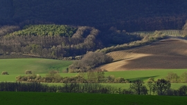 Játék a fényekkel.