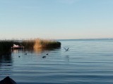 Balatonkenese