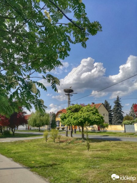 Kalocsa