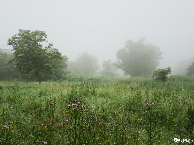 Hódmezővásárhely