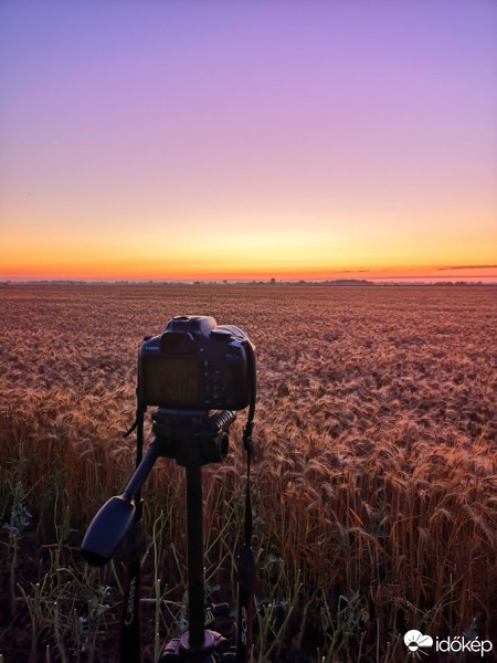 Hódmezővásárhely