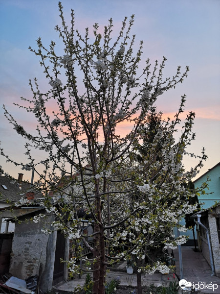 Hódmezővásárhely