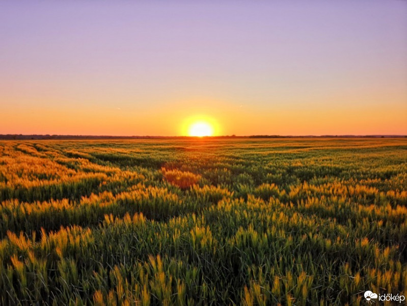 Hódmezővásárhely