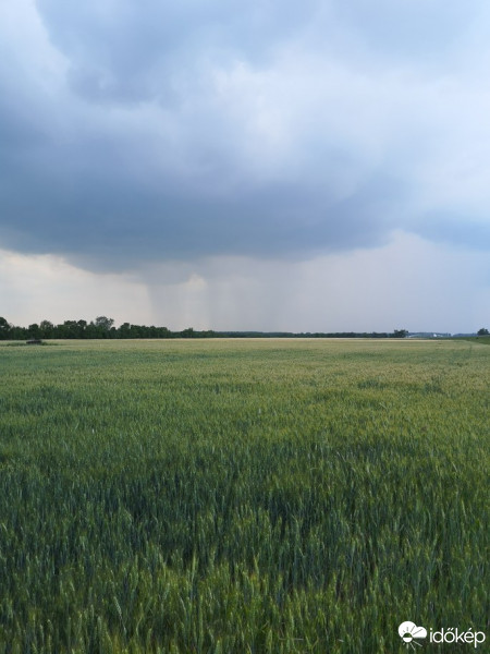 Hódmezővásárhely