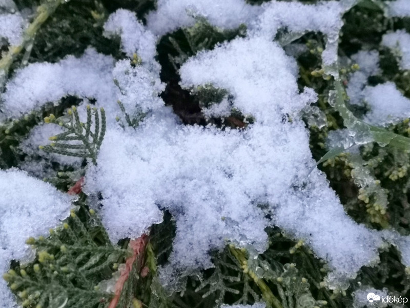 Hódmezővásárhely