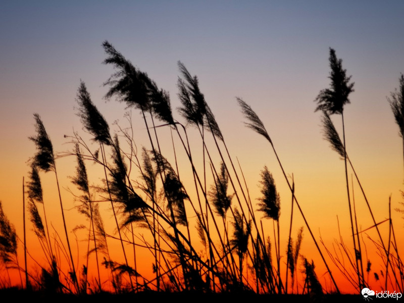 Hódmezővásárhely