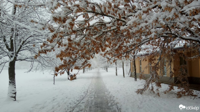 Hódmezővásárhely