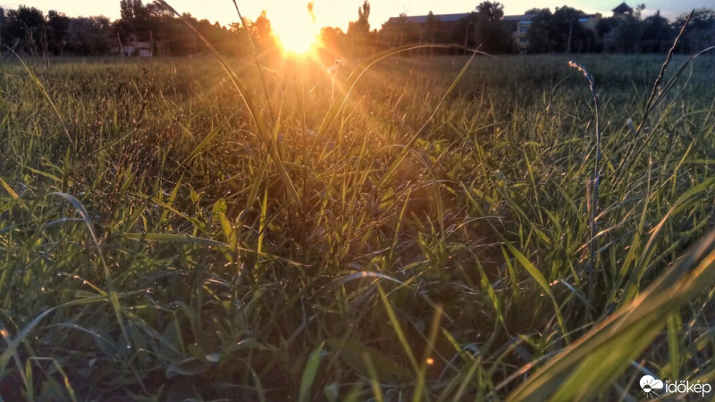 Hódmezővásárhely