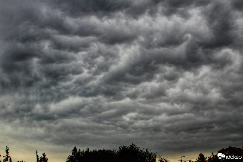 Hódmezővásárhely