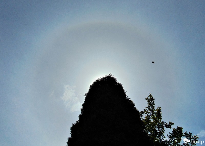 Hódmezővásárhely