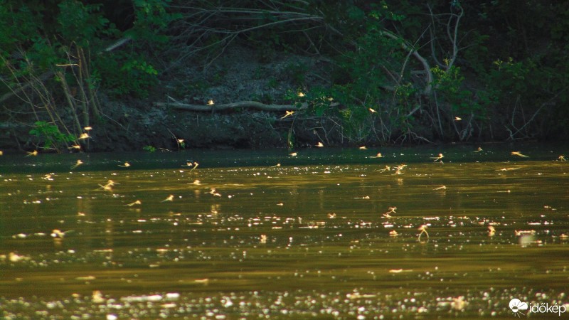 Hódmezővásárhely