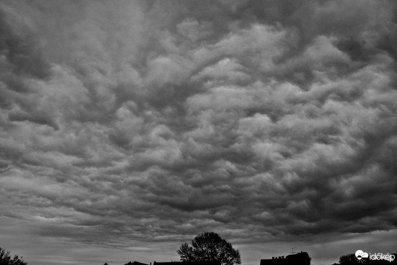 Hódmezővásárhely