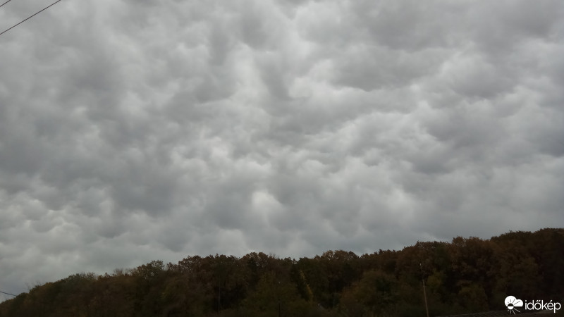 Hódmezővásárhely