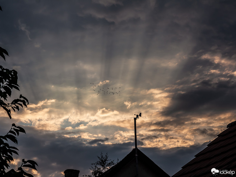 Hódmezővásárhely