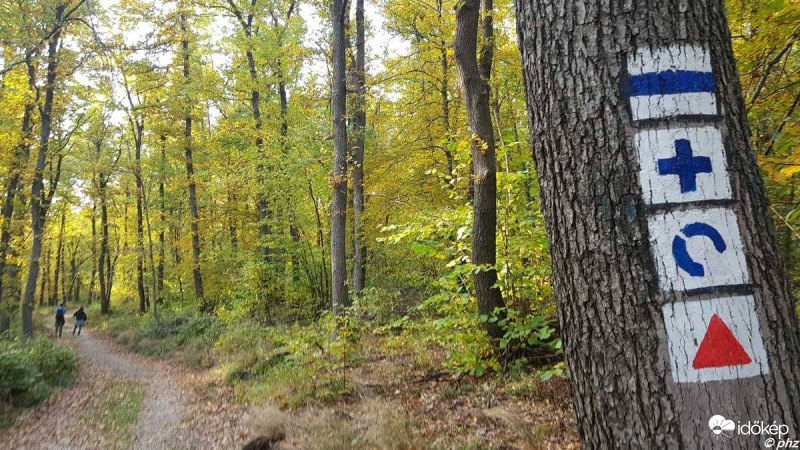 Őszi túra Dobogókő közelében