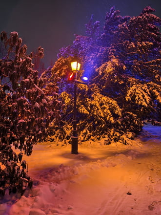 Hódmezővásárhely