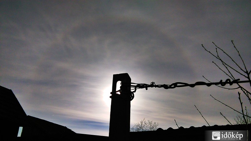 Délelőtti naphaló