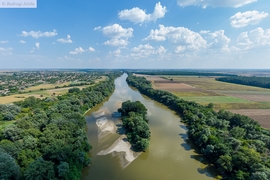 Homoksziget a Marosban