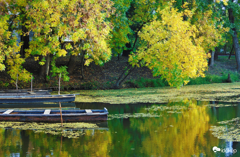 Ősz a holtágnál