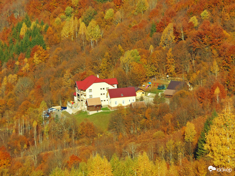 Őszi csendélet