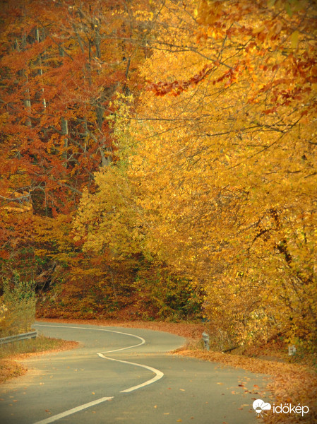 Út az őszbe