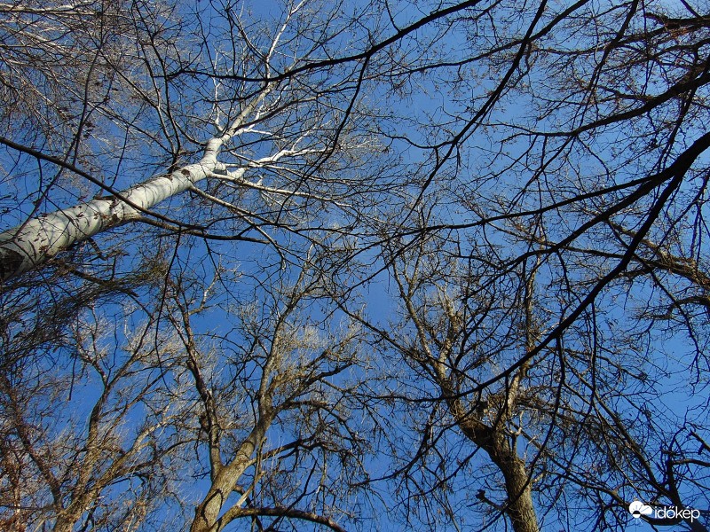 Szédületesen kék ég