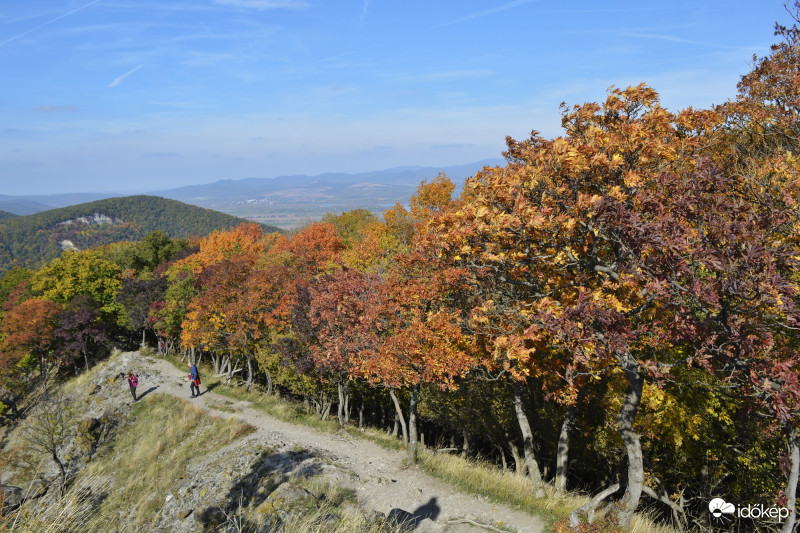 A Vadálló-köveknél