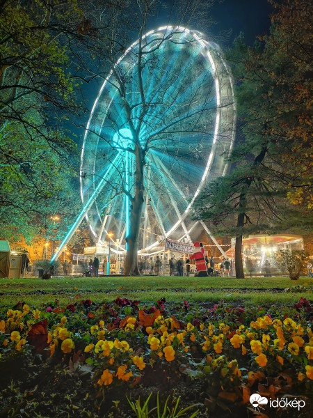 Virágok és advent találkozása 