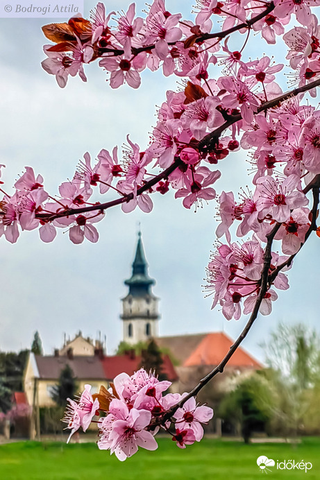 Szürke időben is színesen