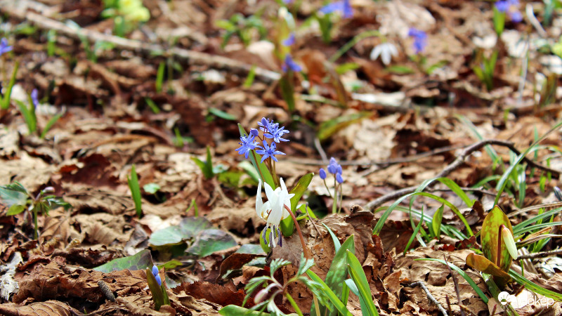 Az első langymeleg nap