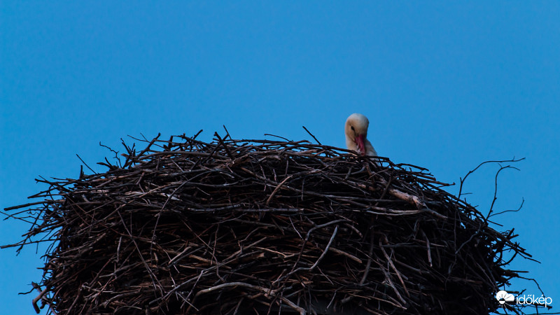 Megjöttem, elfáradtam