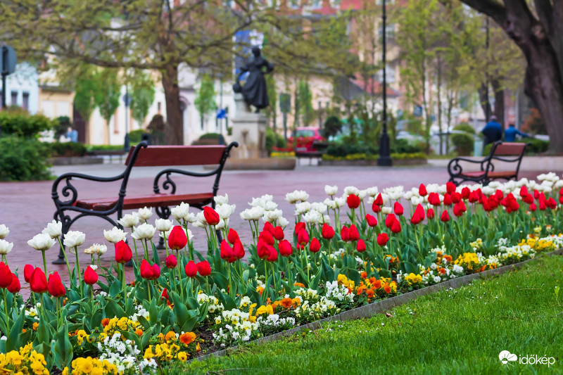 Tavasz a belvárosban