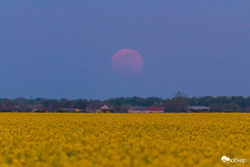 Repcés holdkelte