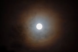 Éjféli holdkoszorú