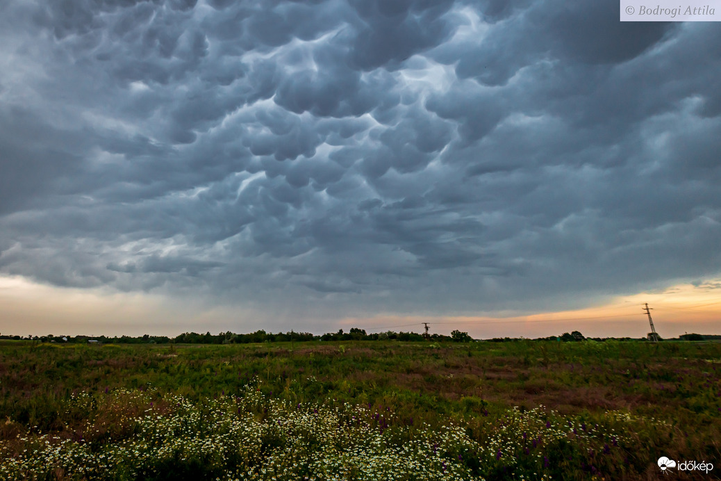 Mammatus felhők